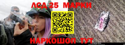 MESCALINE Гатчина
