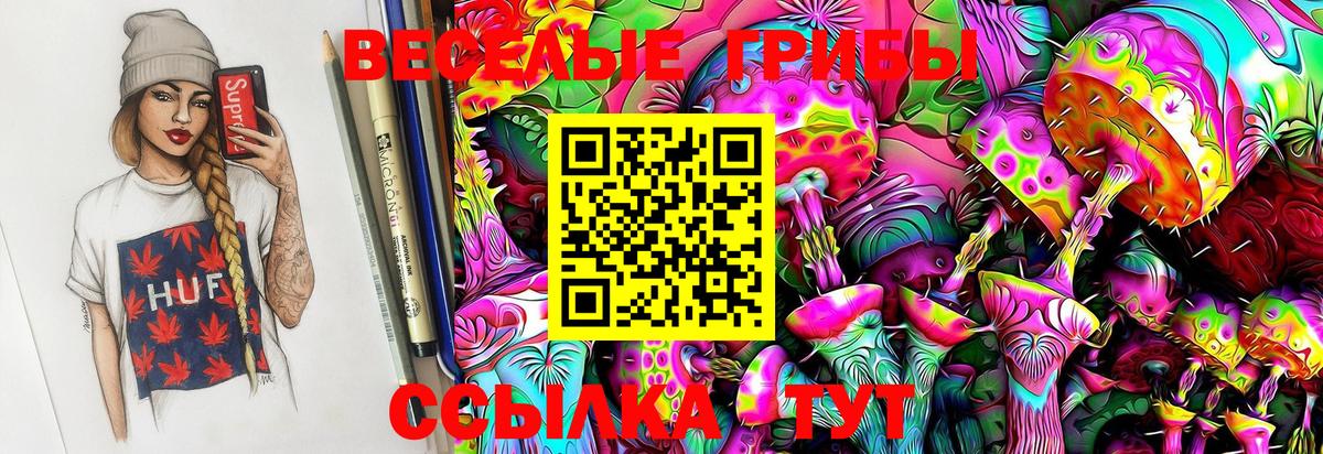 Галлюциногенные грибы GOLDEN TEACHER Можайск