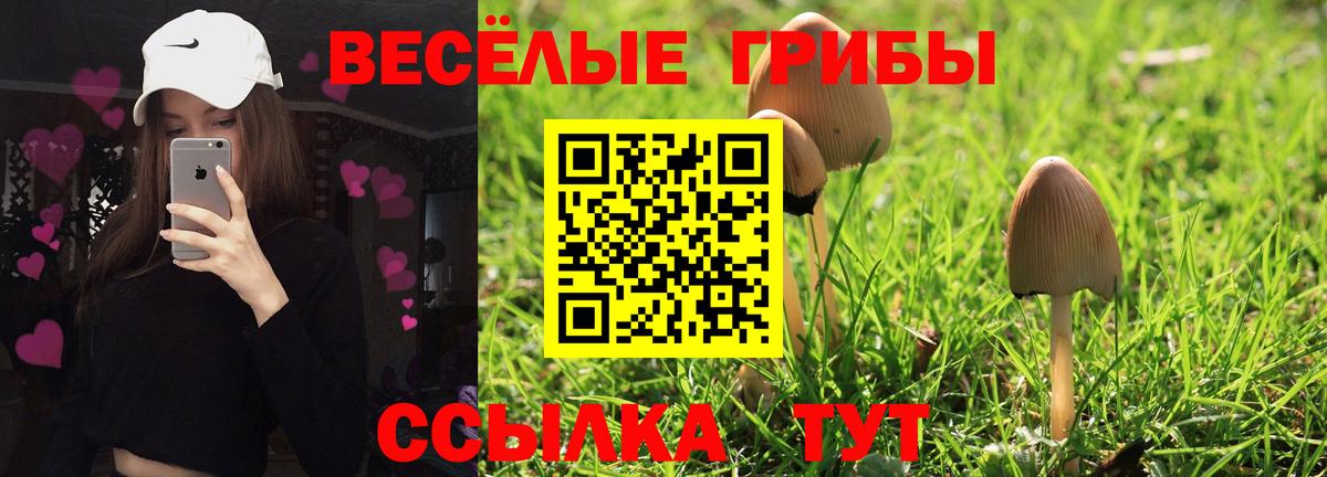 Галлюциногенные грибы ЛСД  Вход с VPN  Можайск 